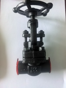 Forged steel welded globe valve