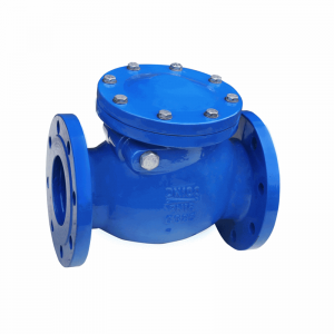 Competitive Price for Ci Dual Plate Check Valve - CAST IRON CHECK VALVE – Keguang
