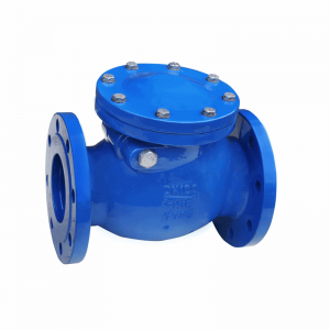 Competitive Price for Ci Dual Plate Check Valve -
 CAST IRON CHECK VALVE – Keguang