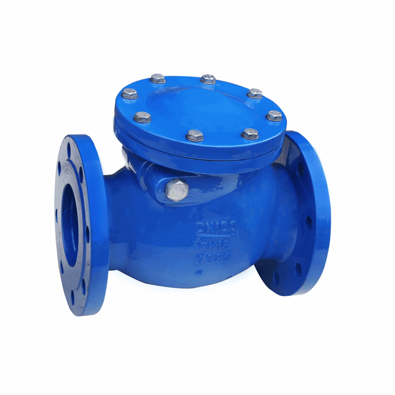 Good User Reputation for Rubber Flexible Joint -
 CAST IRON CHECK VALVE – Keguang