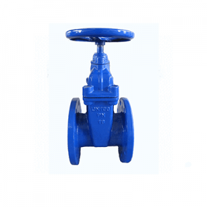 Cheap PriceList for 1/2 Inch Ball Valve -
 CI Gate Valve Flanged High Pressure – Keguang