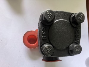 forged steel check valve