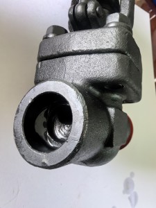 Forged steel welded globe valve