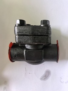 forged steel check valve