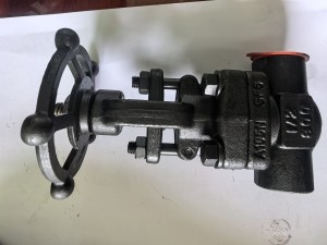 forged steel gate valve
