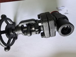 Forged steel welded globe valve