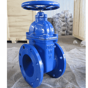 Factory Cheap Hot Ansi Rubber Anti-seismic Expansion Joint CI Gate Valve Flanged High Pressure