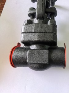 Forged steel welded globe valve